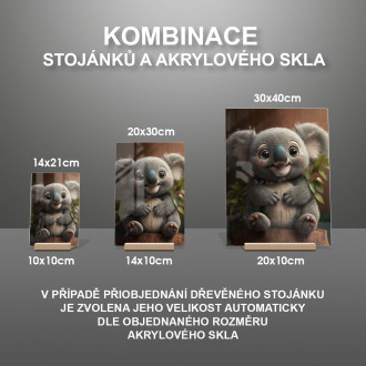 Akrylové sklo Roztomilá animovaná koala 2