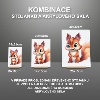 Akrylové sklo Kreslená Veverka