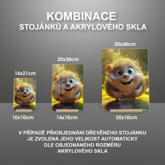 Akrylové sklo Roztomilý animovaný ježek