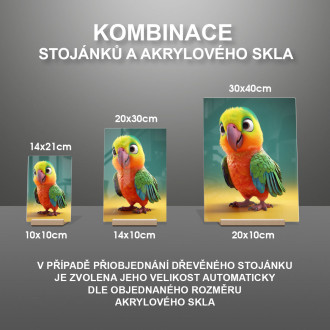 Akrylové sklo Roztomilý animovaný papoušek 1