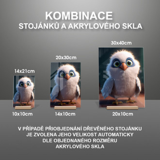 Akrylové sklo Roztomilý animovaný orel 1