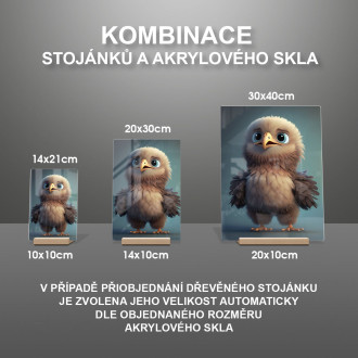 Akrylové sklo Roztomilý animovaný orel 2