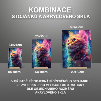 Akrylové sklo Vesmírná kočka 1