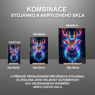 Akrylové sklo Vesmírný jelen 2