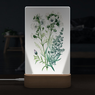 Lampa Květinový herbář 2