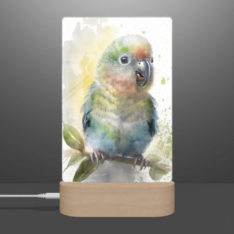 Lampa Akvarelový papoušek